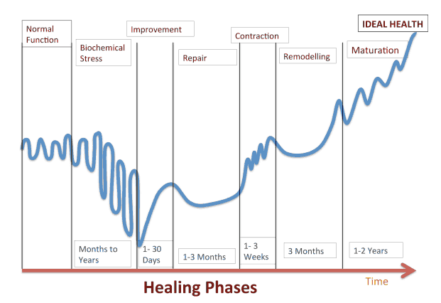 The Stages of Recovery